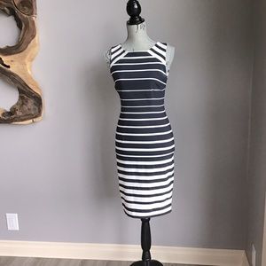 RW&CO Sleeveless curve hugging dress